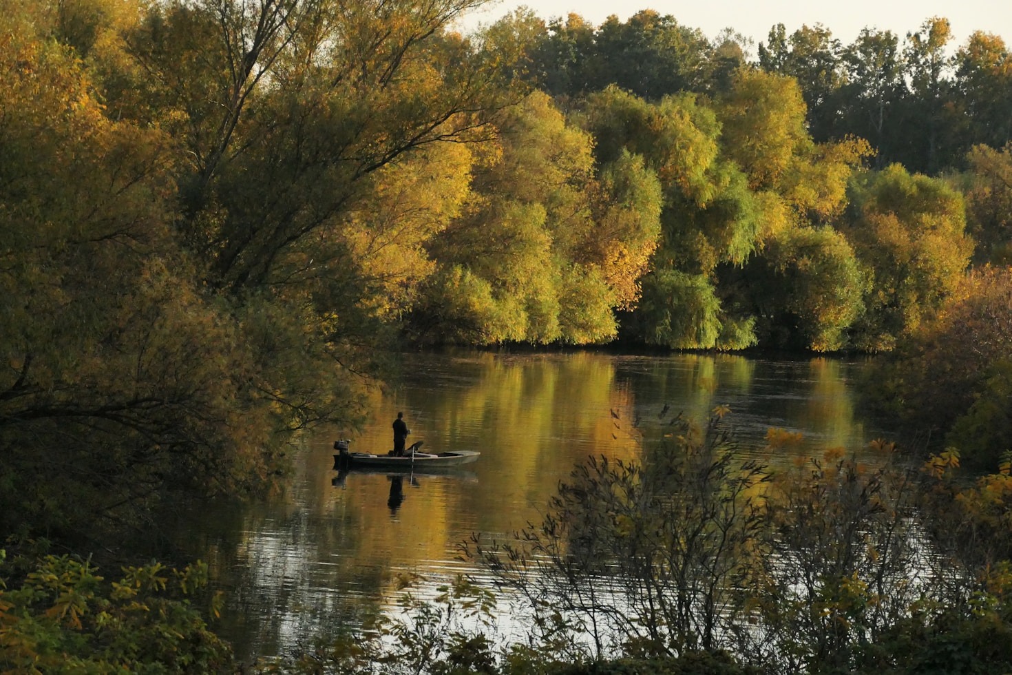 Meet the Members of Gadabout Bass Masters
